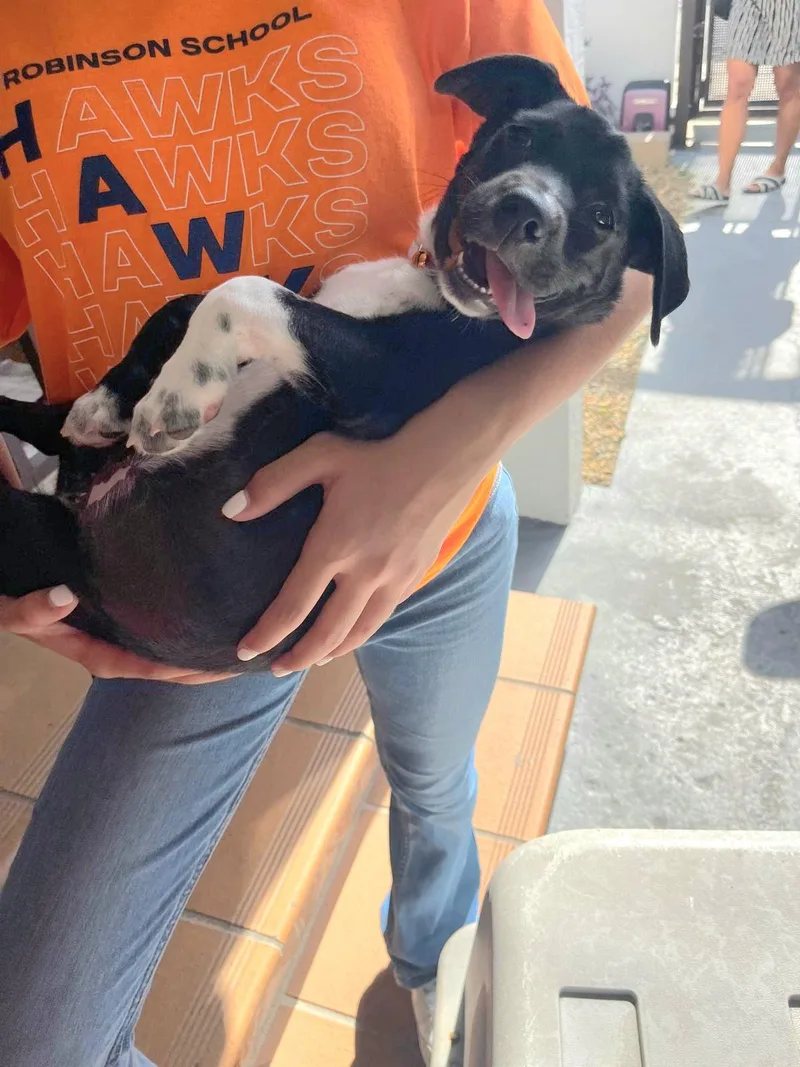 Winter "let's Grow Love thumbnail 5