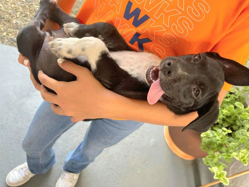 Winter "let's Grow Love thumbnail 6