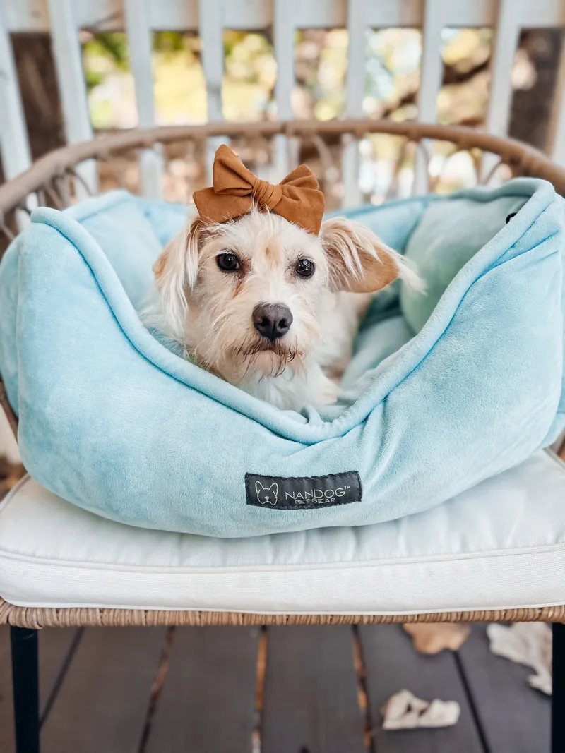 Bitsy thumbnail 5