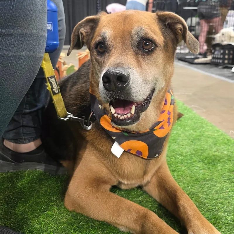 Twix Jumag thumbnail 2