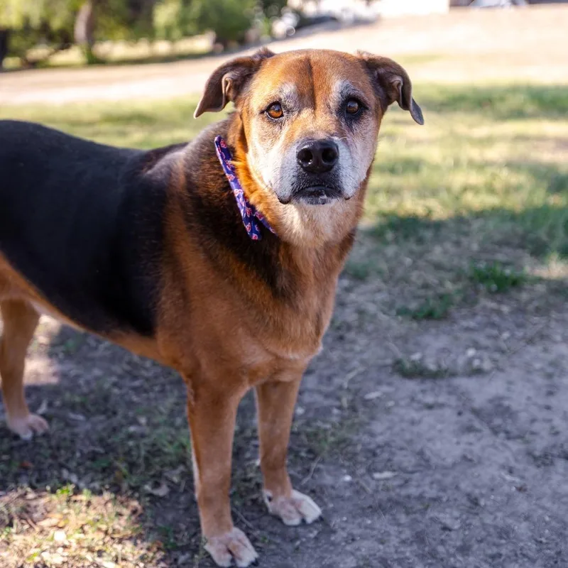 Twix Jumag thumbnail 3