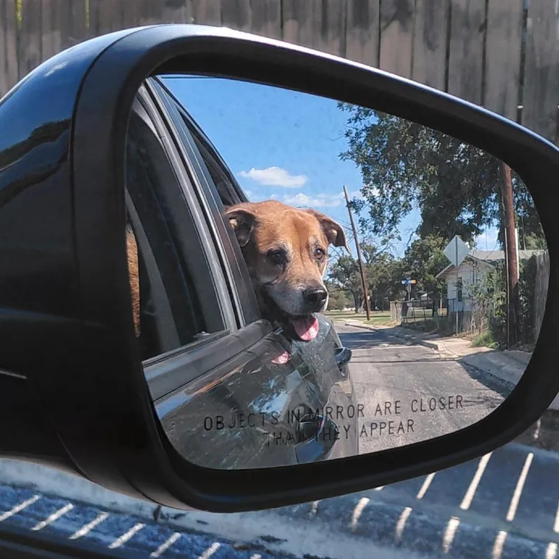 Twix Jumag thumbnail 5