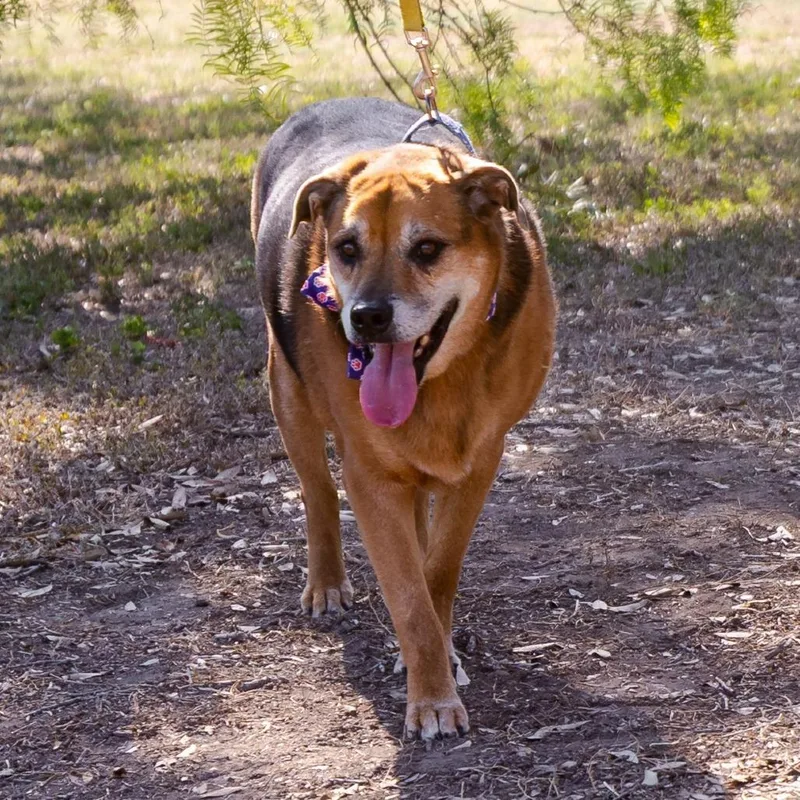 Twix Jumag thumbnail 6