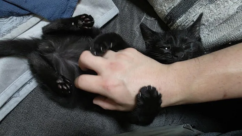 Berlioz thumbnail 2