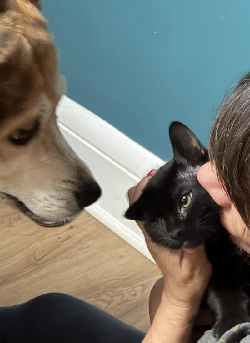 Bella thumbnail 3