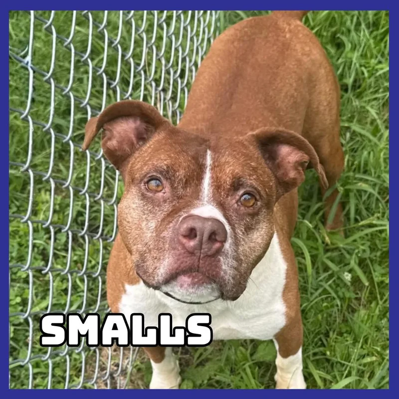 Smalls