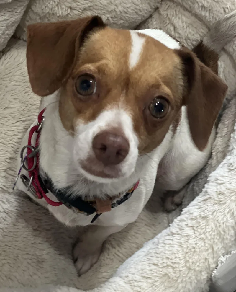 Susie thumbnail 3