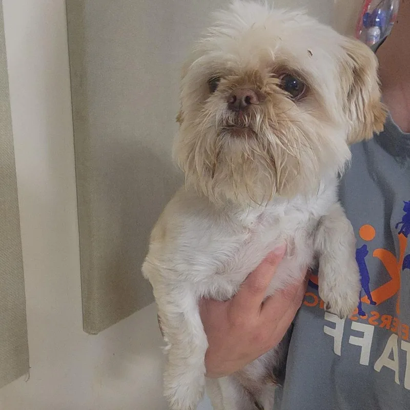 Baby Bruno thumbnail 5