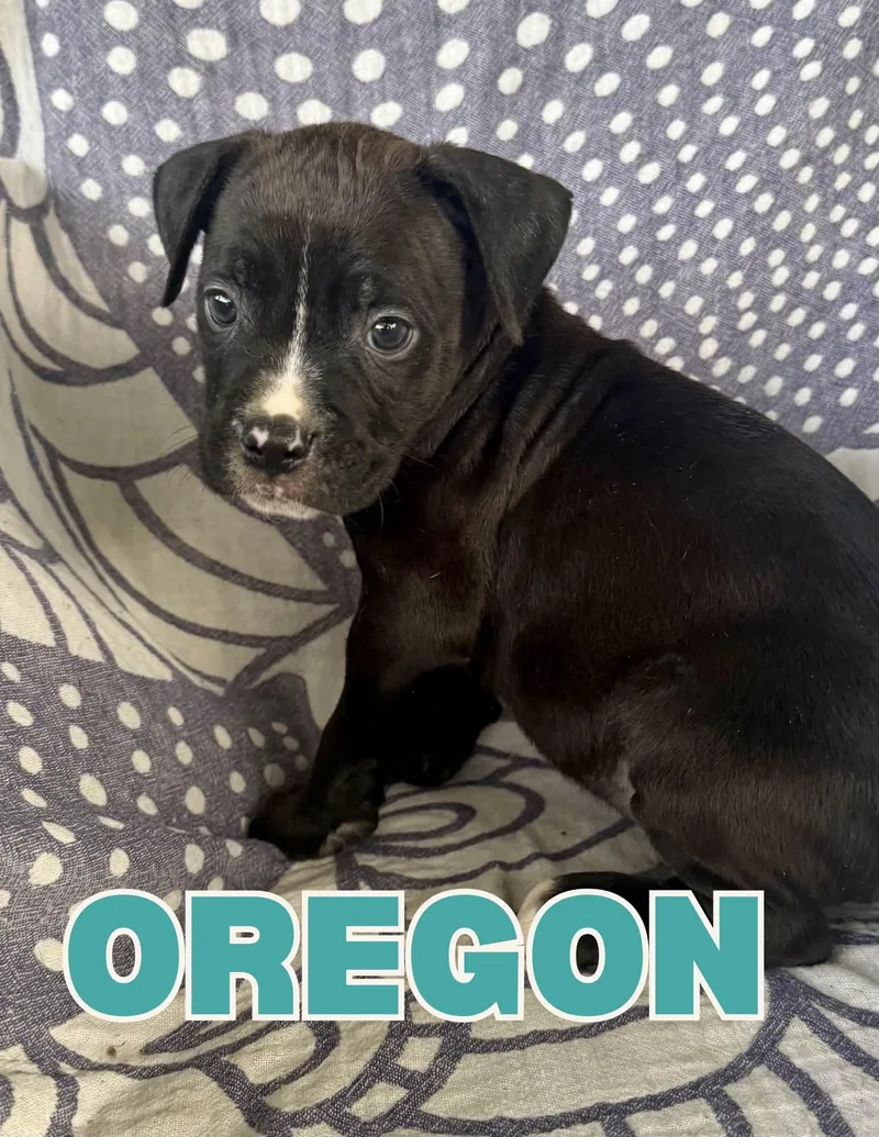 Oregon