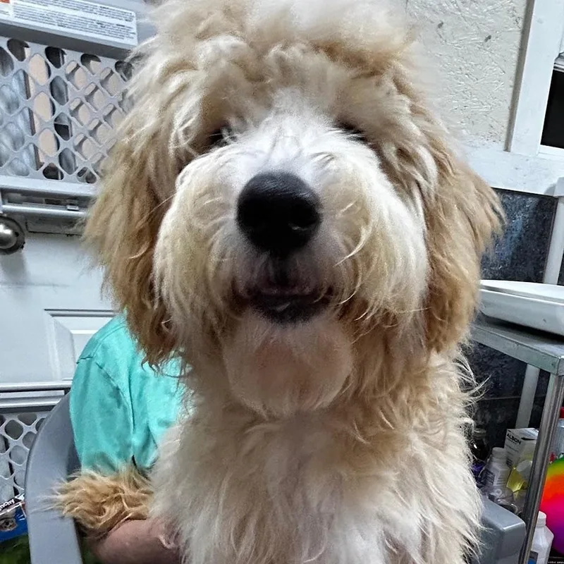Milo