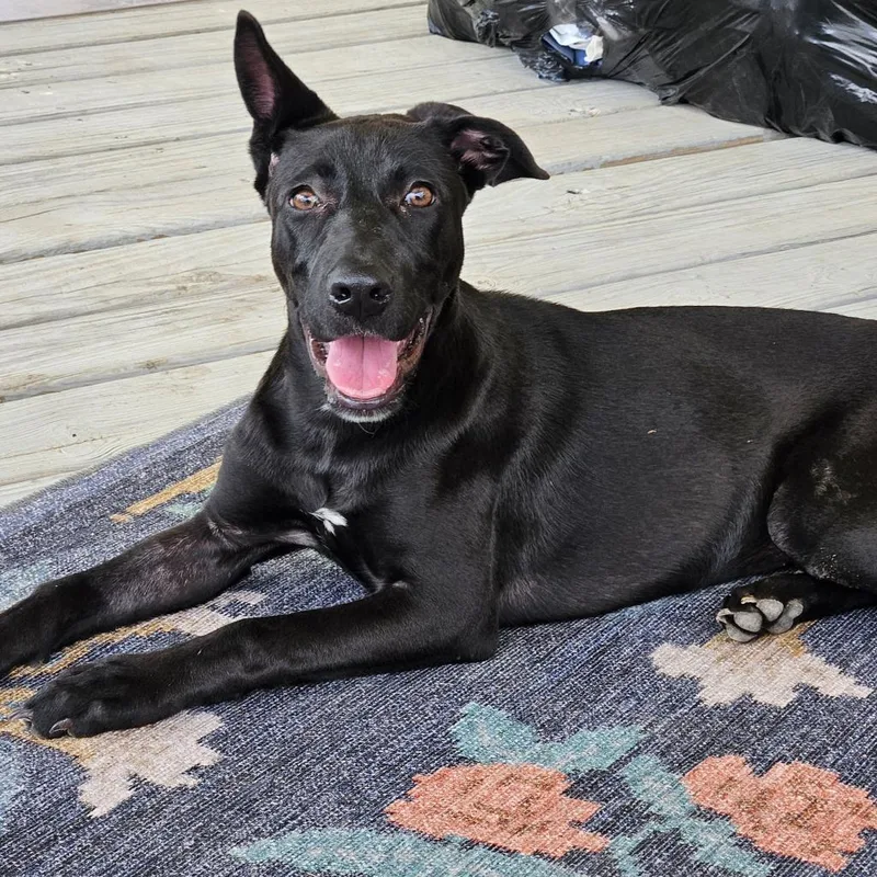 Truffles Bw thumbnail 5