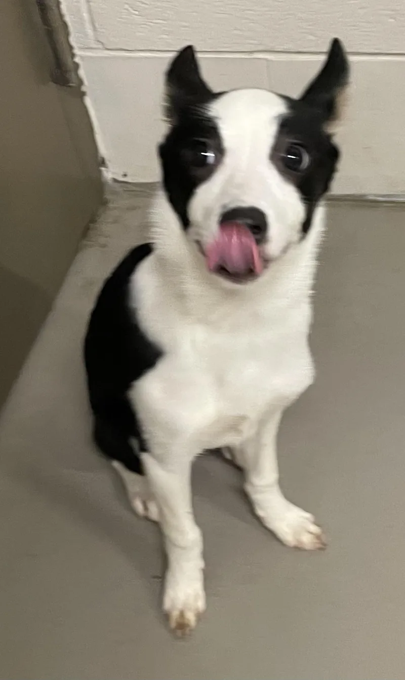 Jasmine Hold thumbnail 2