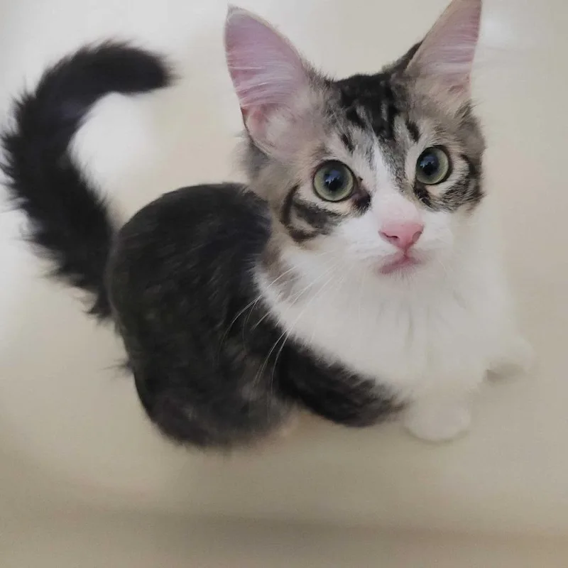 No Shave November thumbnail 6