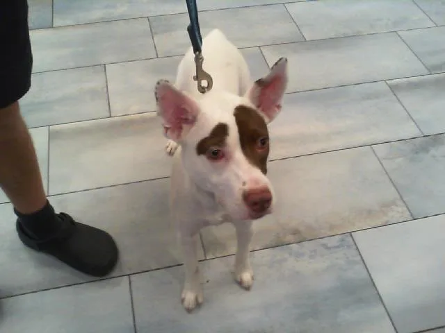 Abby