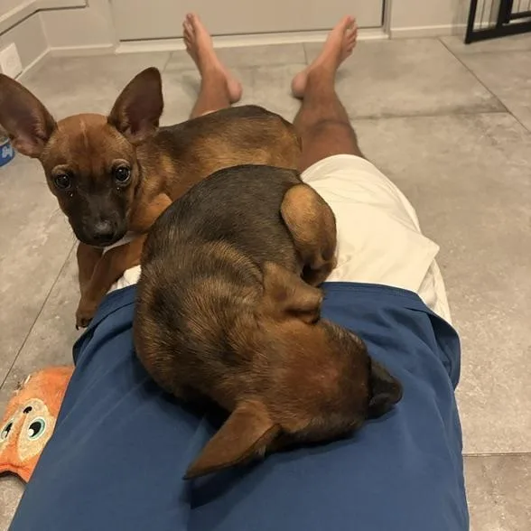 Ella  Cuddles  thumbnail 4