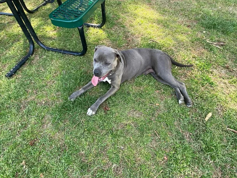 Lil Mama thumbnail 2