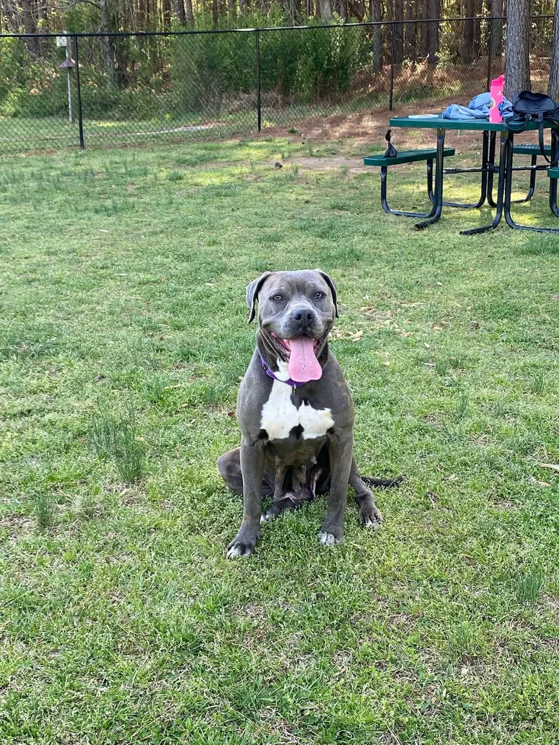 Lil Mama thumbnail 3