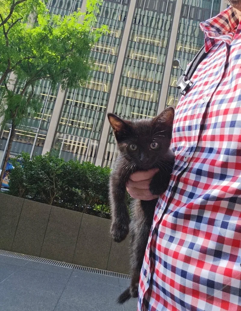 Frankie thumbnail 3