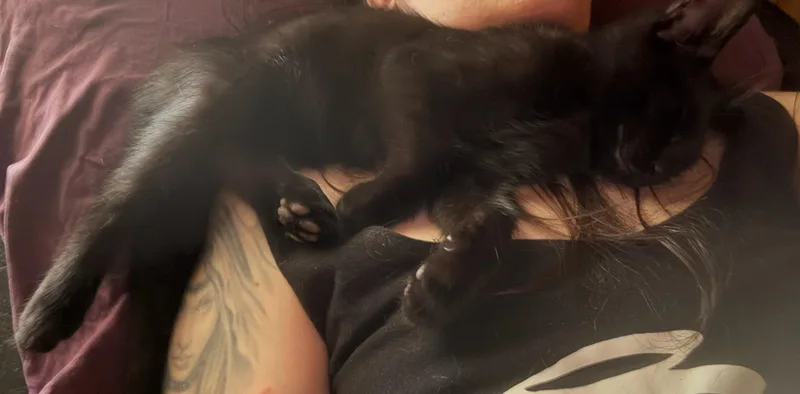 Frankie thumbnail 4
