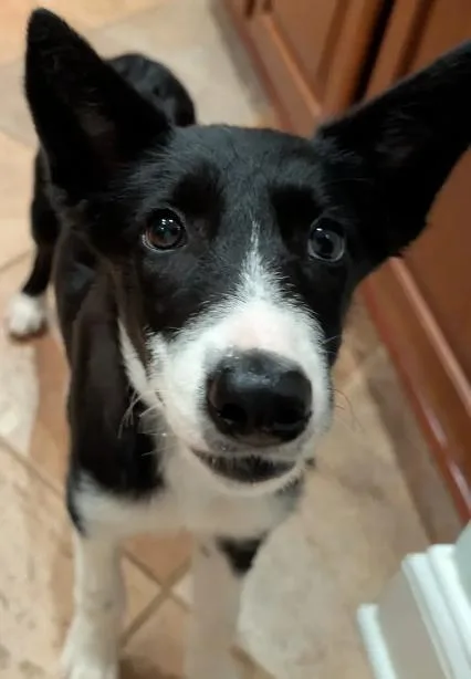 Jenny thumbnail 3