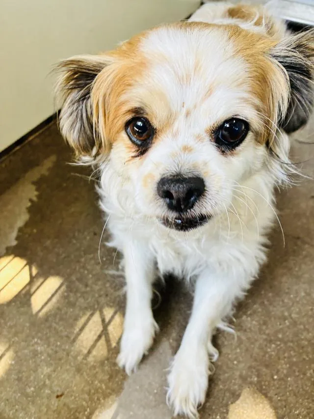 Winnie
