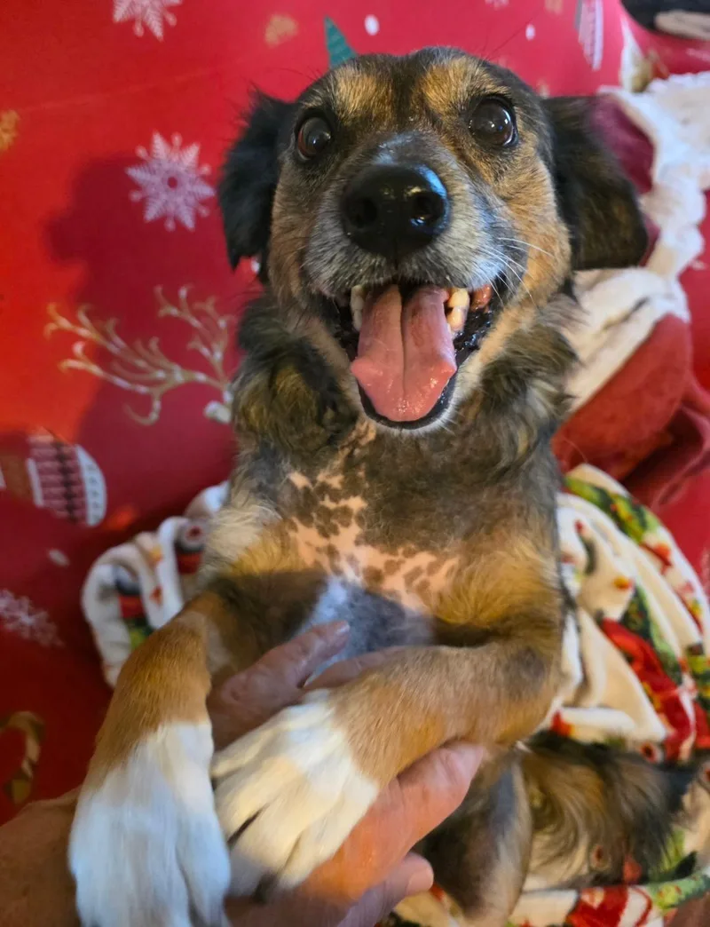 Mia Maple thumbnail 2