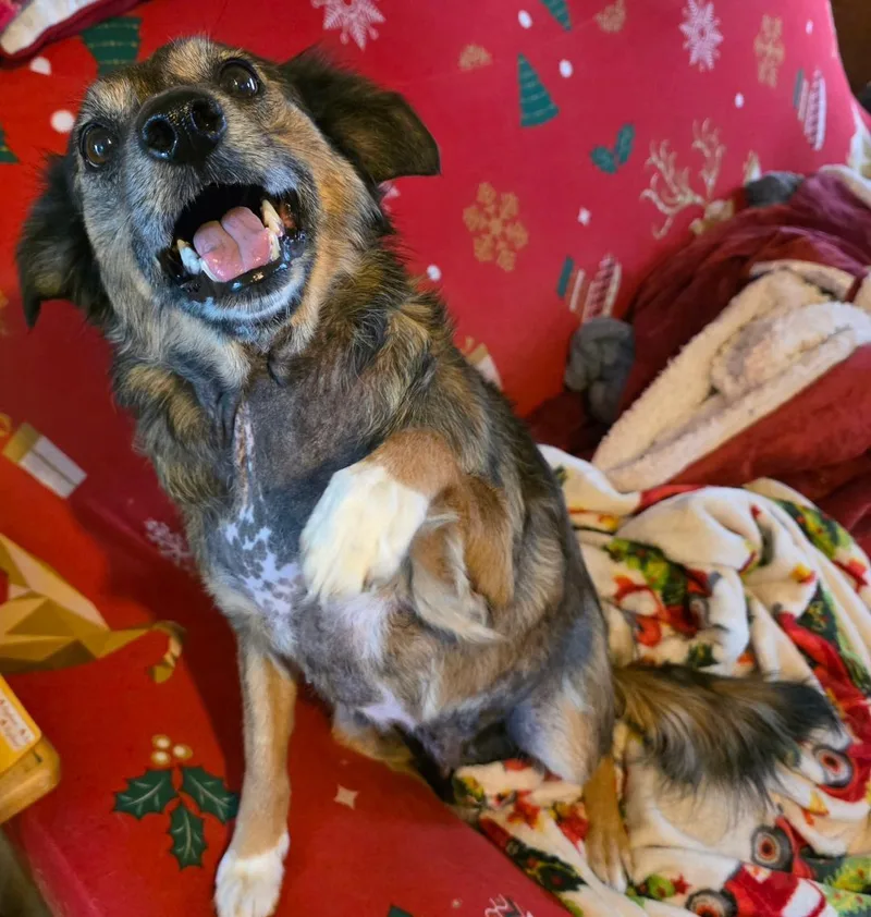 Mia Maple thumbnail 3