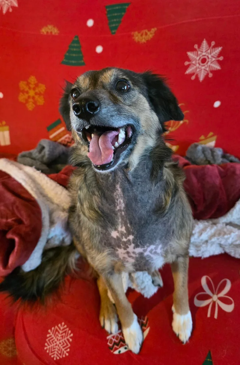 Mia Maple thumbnail 4