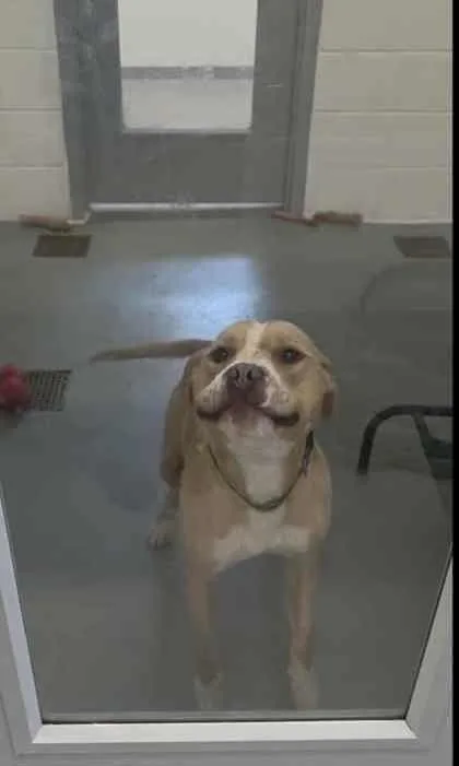 Fletcher thumbnail 3