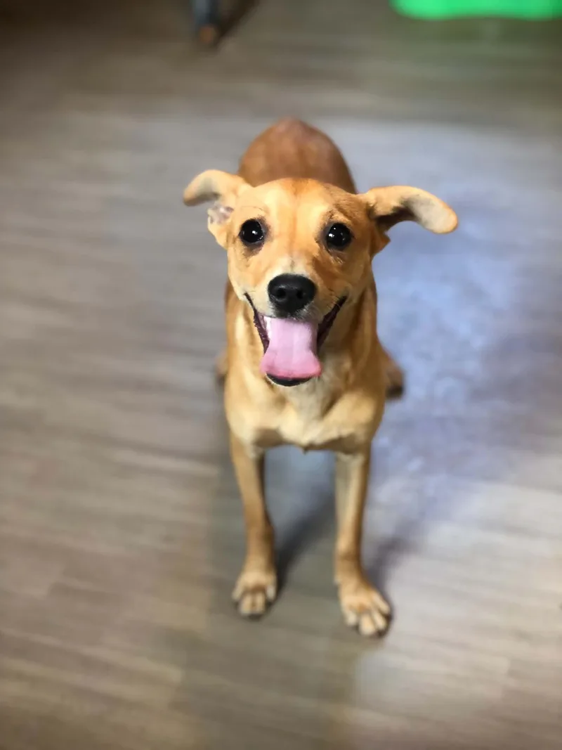 Milo