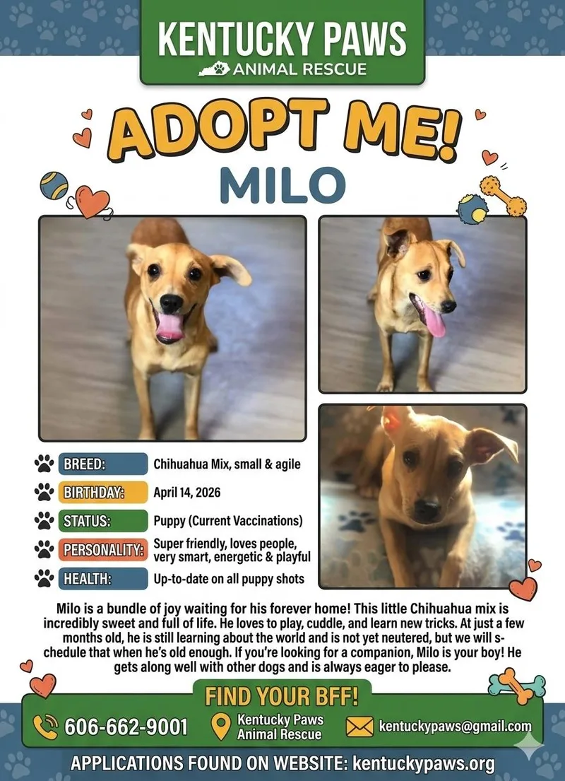 Milo thumbnail 6