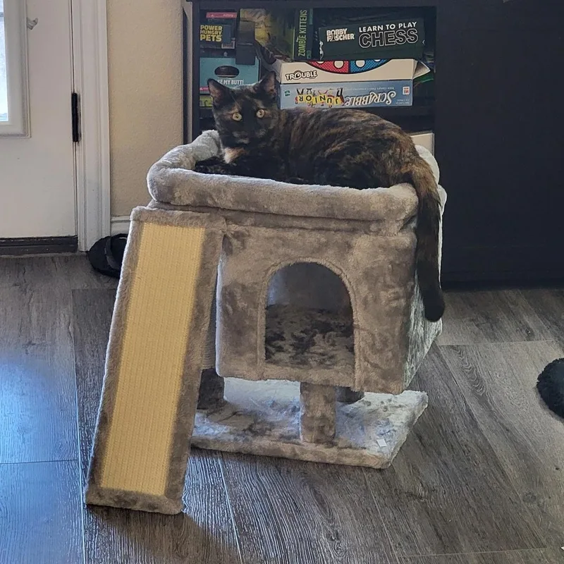 Hazel Jane  Very thumbnail 2