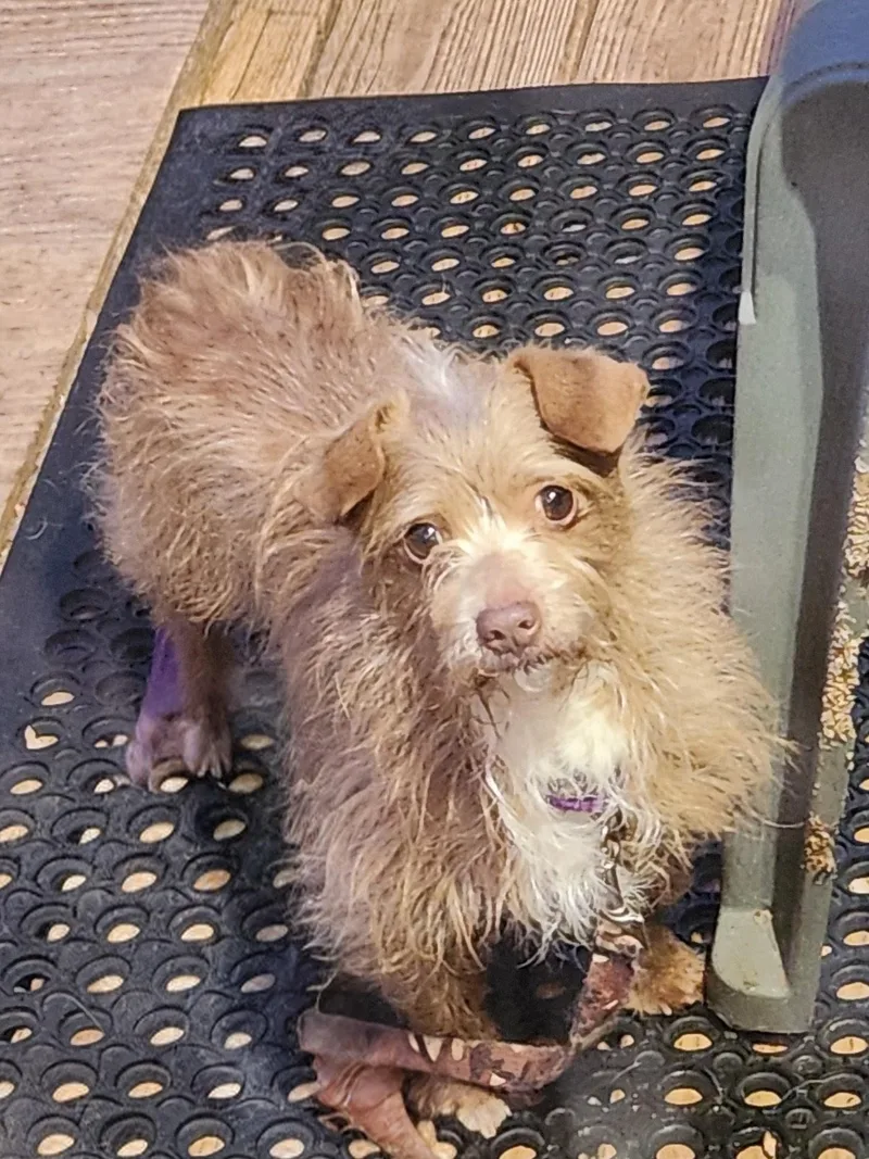 Ben & Lil Bitbonded thumbnail 2