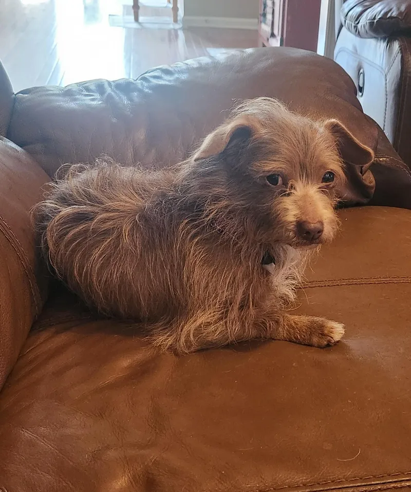 Ben & Lil Bitbonded thumbnail 4