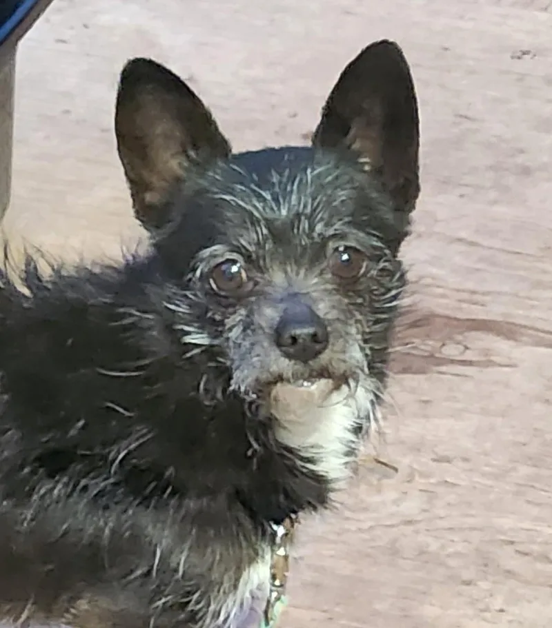 Ben & Lil Bitbonded thumbnail 5