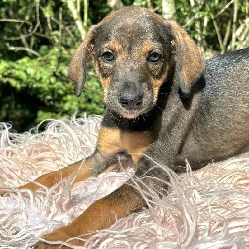 Gucci "loving You Is