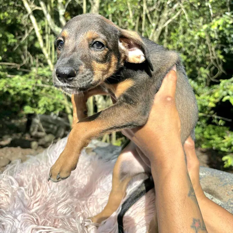 Gucci "loving You Is thumbnail 5