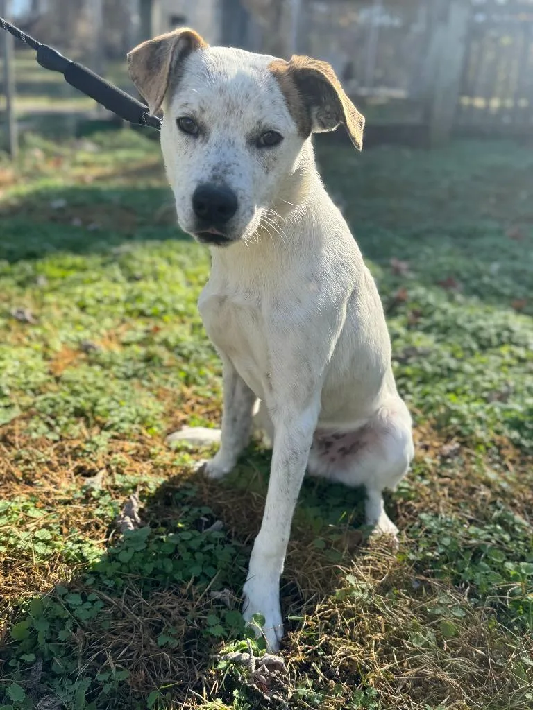 Stuffing thumbnail 2