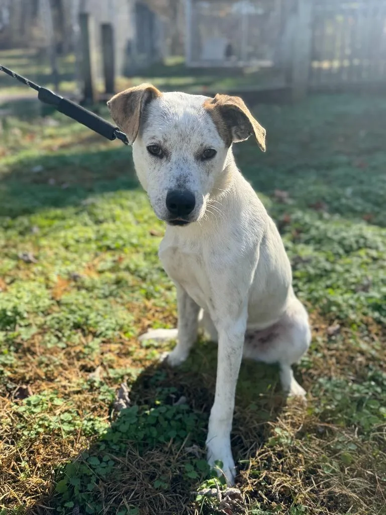 Stuffing thumbnail 5