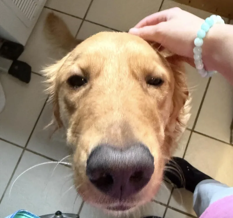 Finnigan thumbnail 2