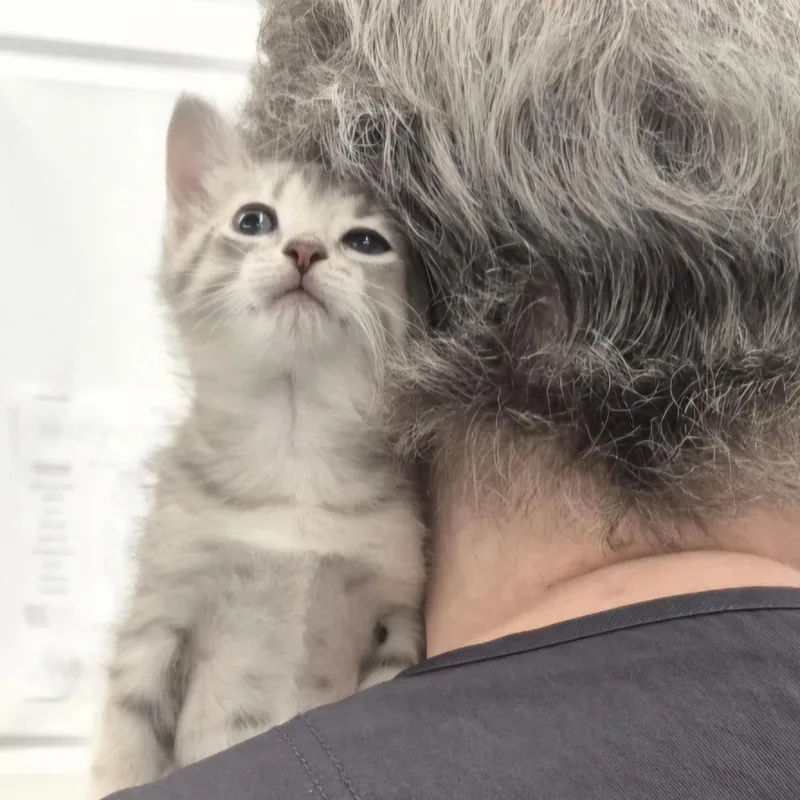 MImi thumbnail 2
