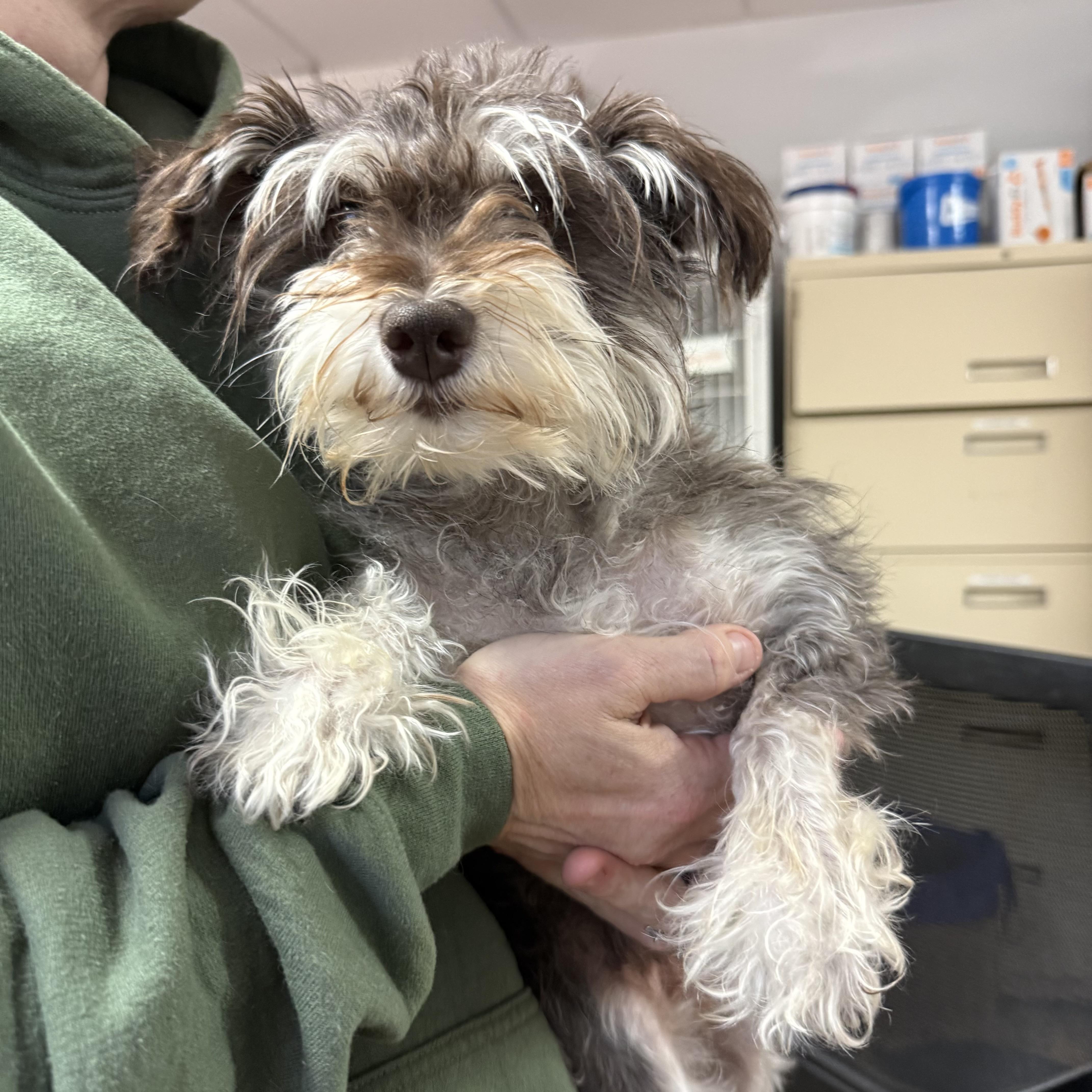 Sparkle Smash thumbnail 3