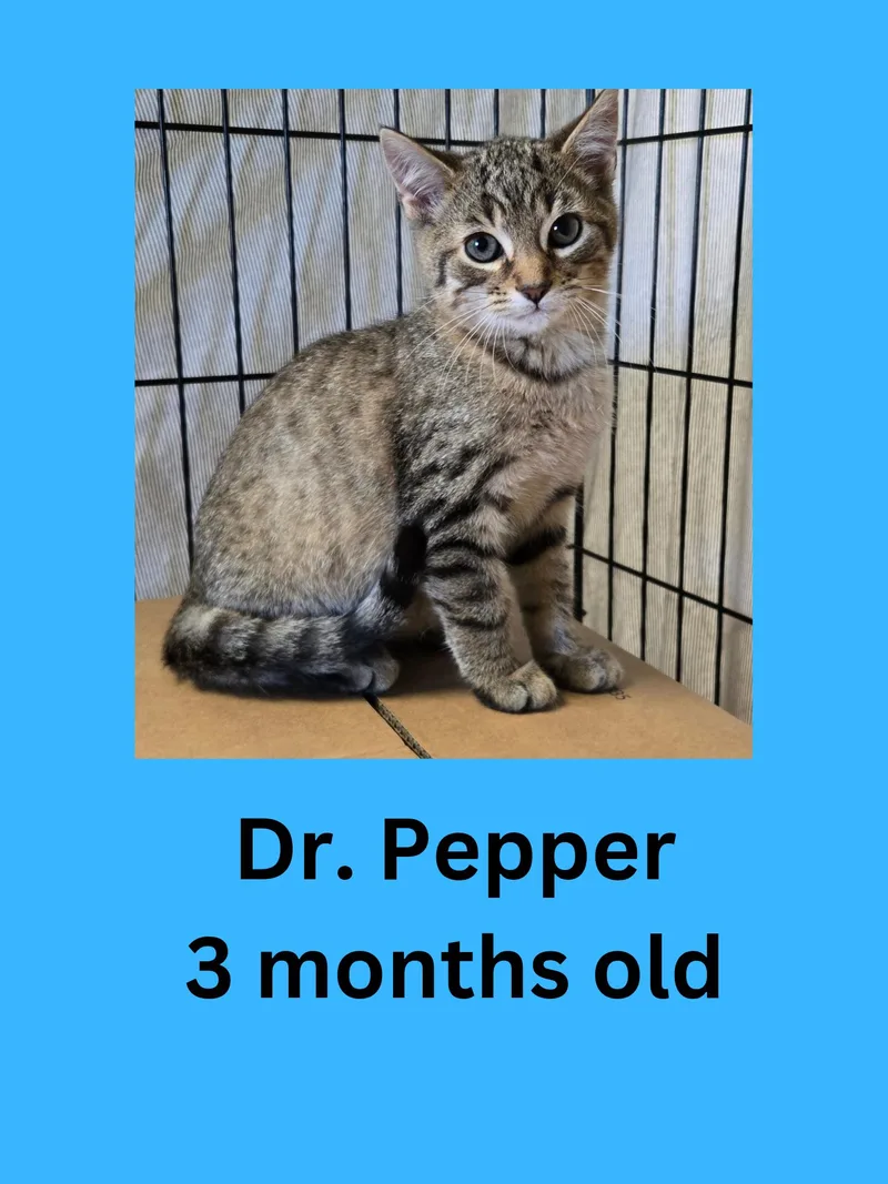 Dr. Pepper