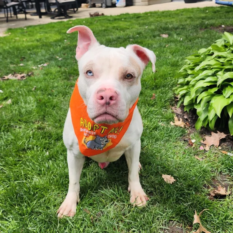 Spot ~ Coming Soon!!! thumbnail 2