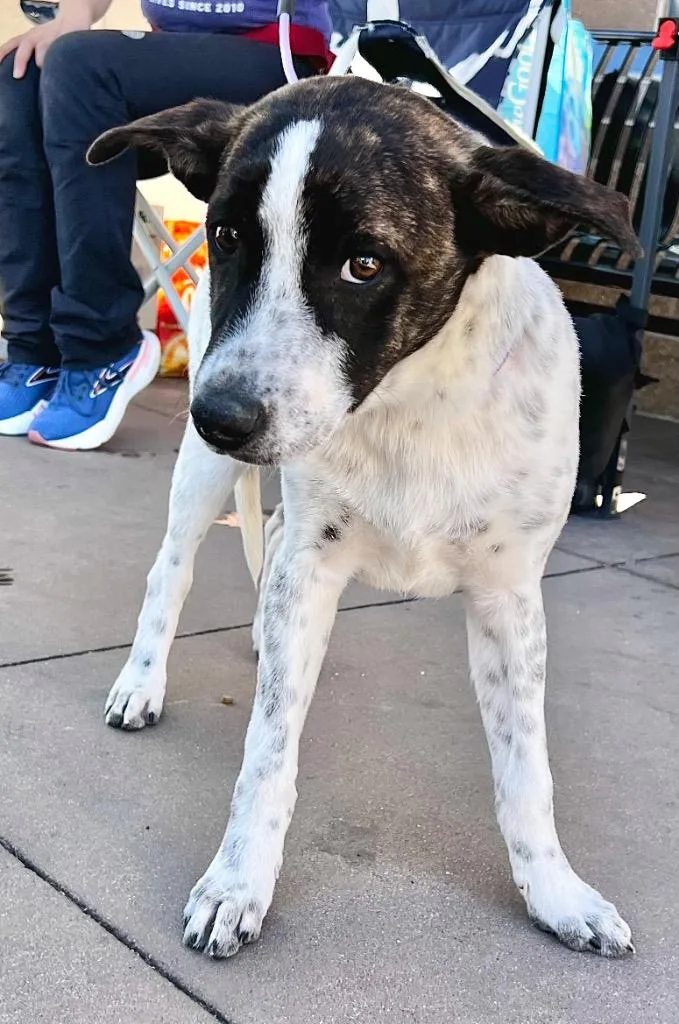 Marunouchi thumbnail 2