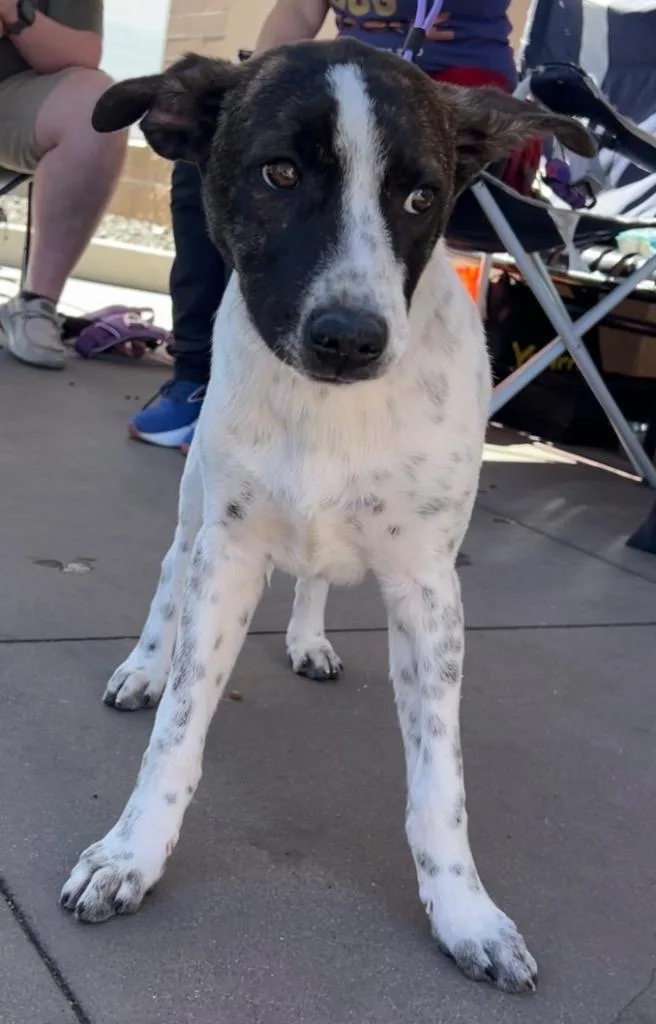 Marunouchi thumbnail 3