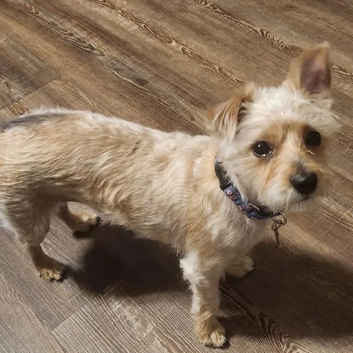 Charlotte thumbnail 2