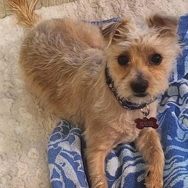 Charlotte thumbnail 3