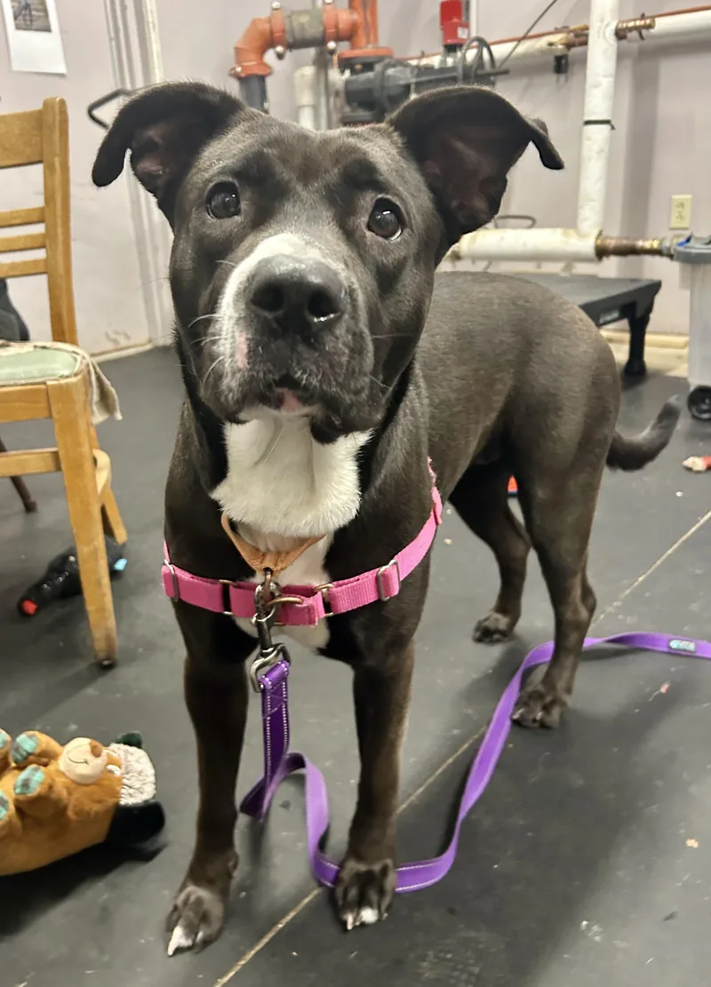 Queenloves People. Smart & thumbnail 5