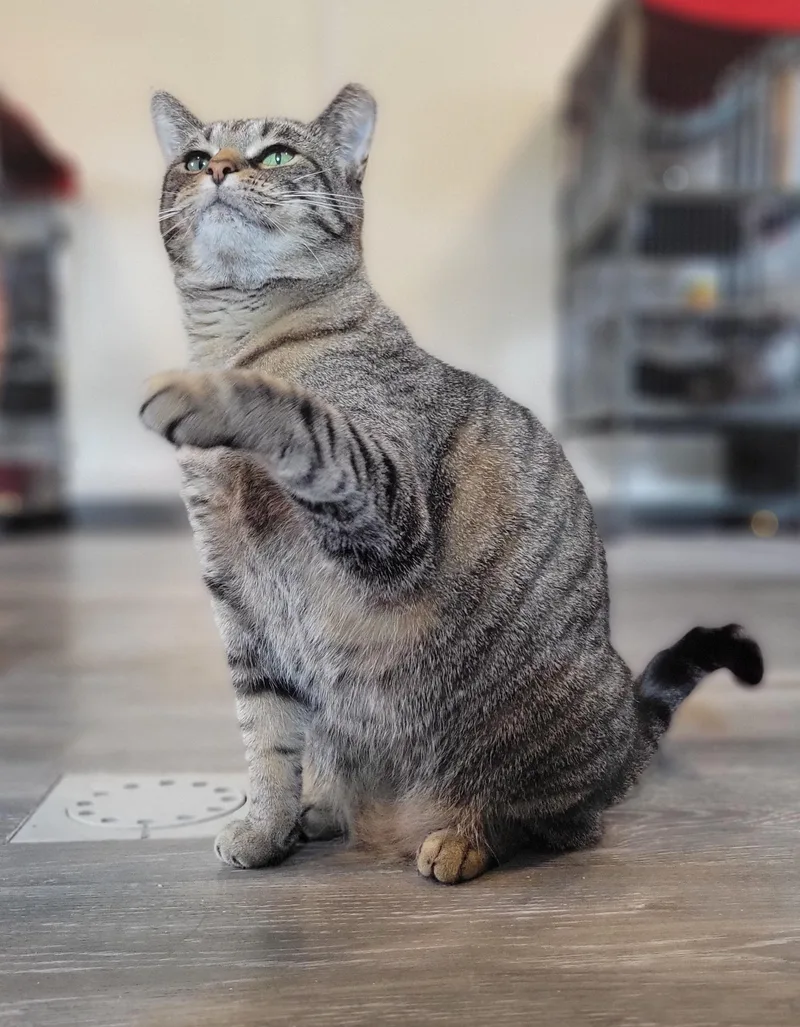 Zilwaukee thumbnail 2